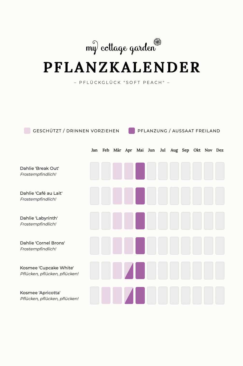 Pflückglück "Soft Peach"
