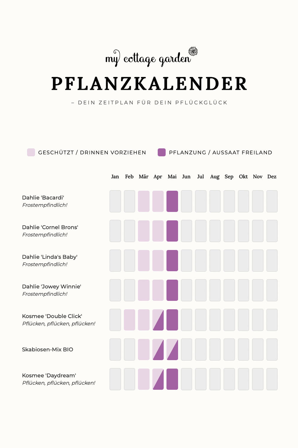 Pflückglück "Sunrise"