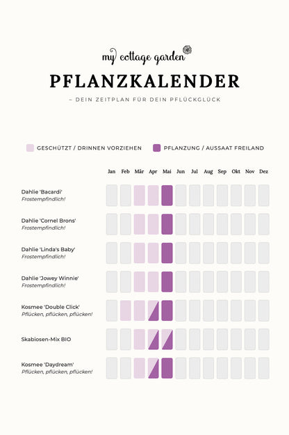 Pflückglück "Sunrise"