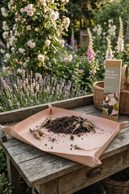 Pflanzmatte – Rosa