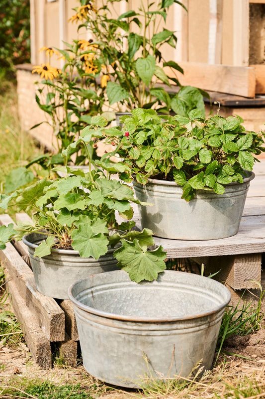 Pflanztöpfe aus verzinktem Metall bepflanzt auf Holzterasse.
