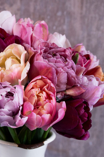 Pflückglück "Bohemian Blush" – 90 Zwiebeln