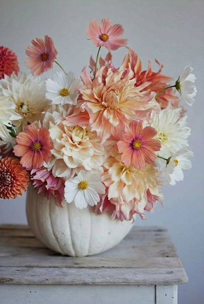 Pflückglück "Soft Peach"