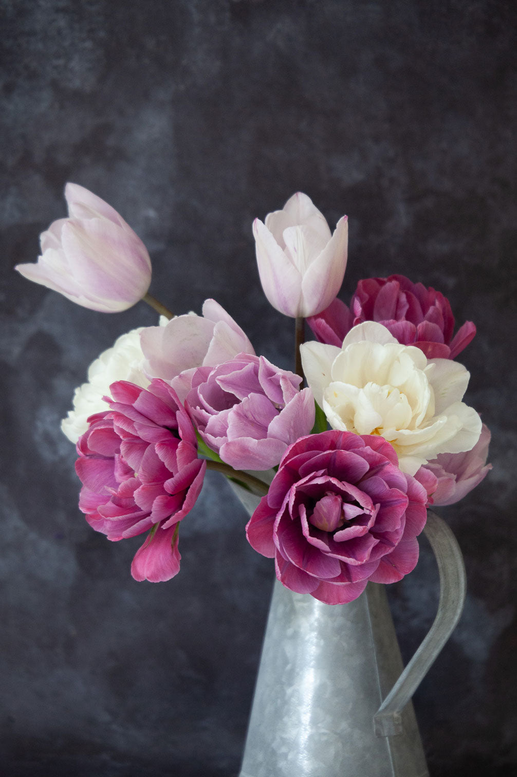 Pflückglück "Vintage Rose" – 40 Zwiebeln