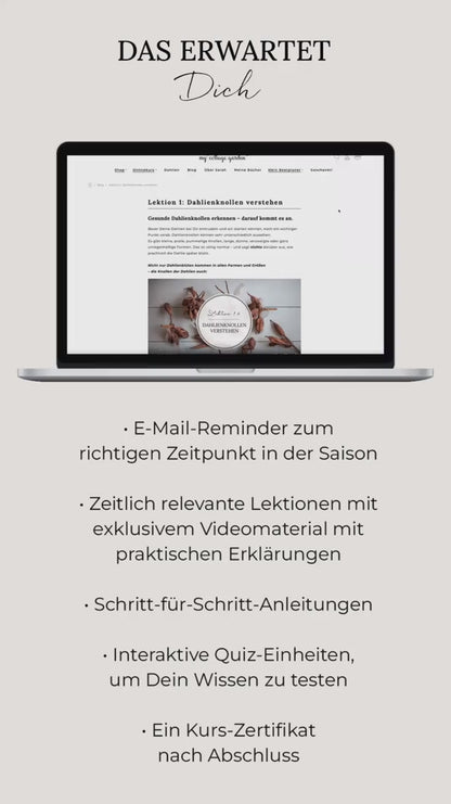Dahlien-Masterclass: Gemeinsam durch die Saison!