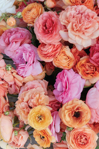 Blüten der Ranunkel "Pauline Champagne" in Apricot, Koralle, Rosa und Pink.