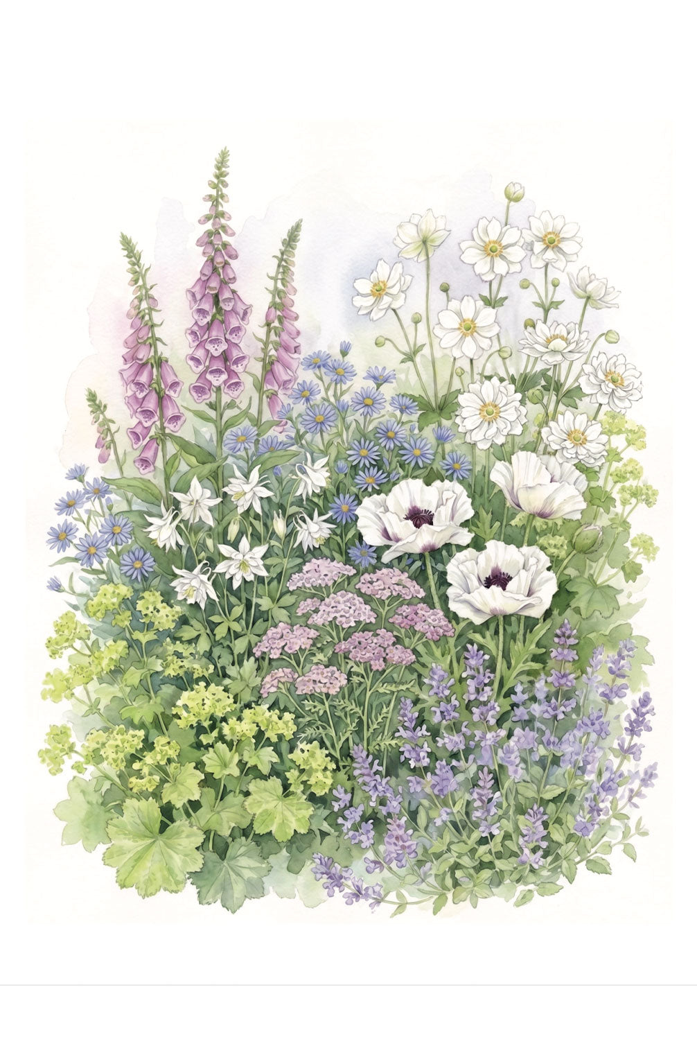 Bio-Staudenpaket "Cottage Garten" – 16 Pflanzen