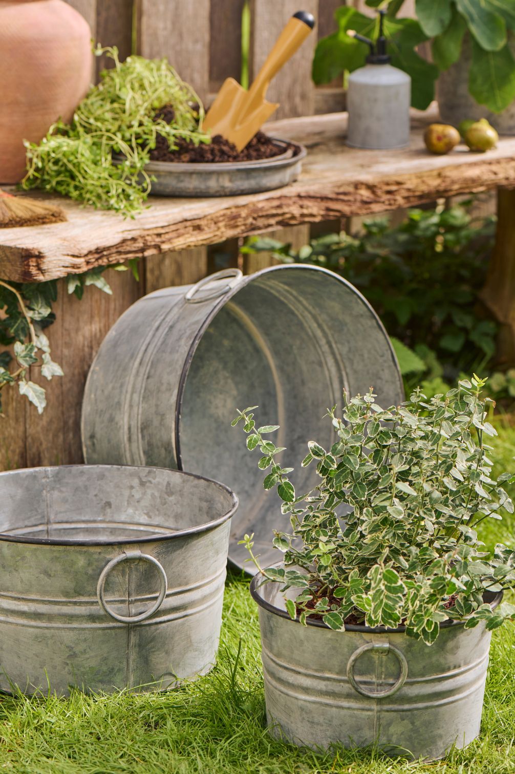 Runde Metallwannen mit Henkeln bepflanzt im natürlichen Garten.