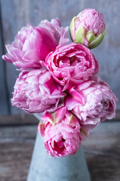 Pflückglück "La vie en rose" – 40 Zwiebeln