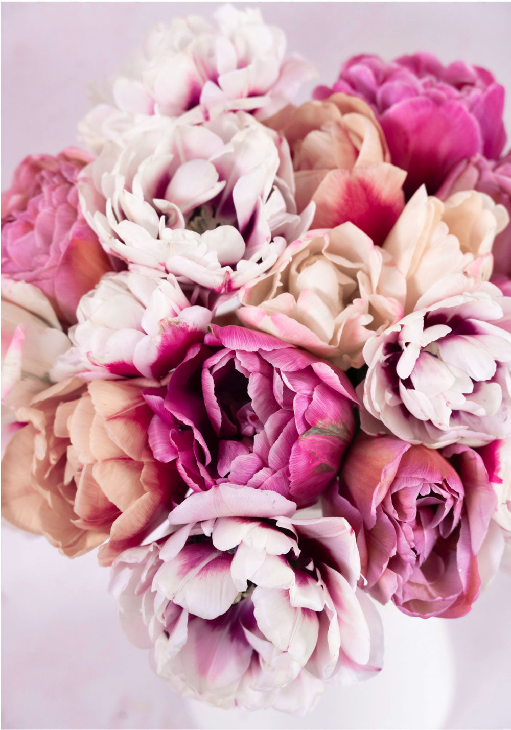 120 Tulpen "Pflückglück"