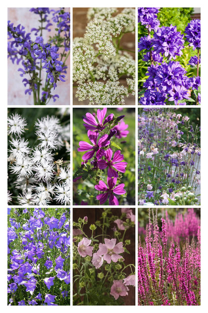 Heimische Wildblumen – 9 Packungen