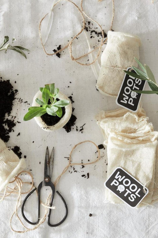 Anzuchttöpfe aus Wolle mit Erde, Garn und Gartenschere als nachhaltiges Anzuchtset arrangiert.