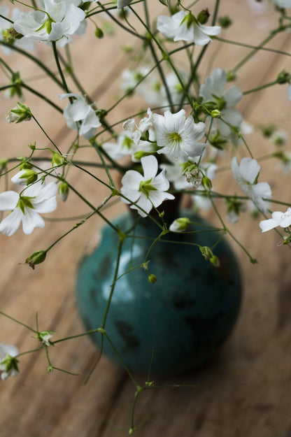 Nahaufnahme Schleierkraut Monarch White in gruener Vase