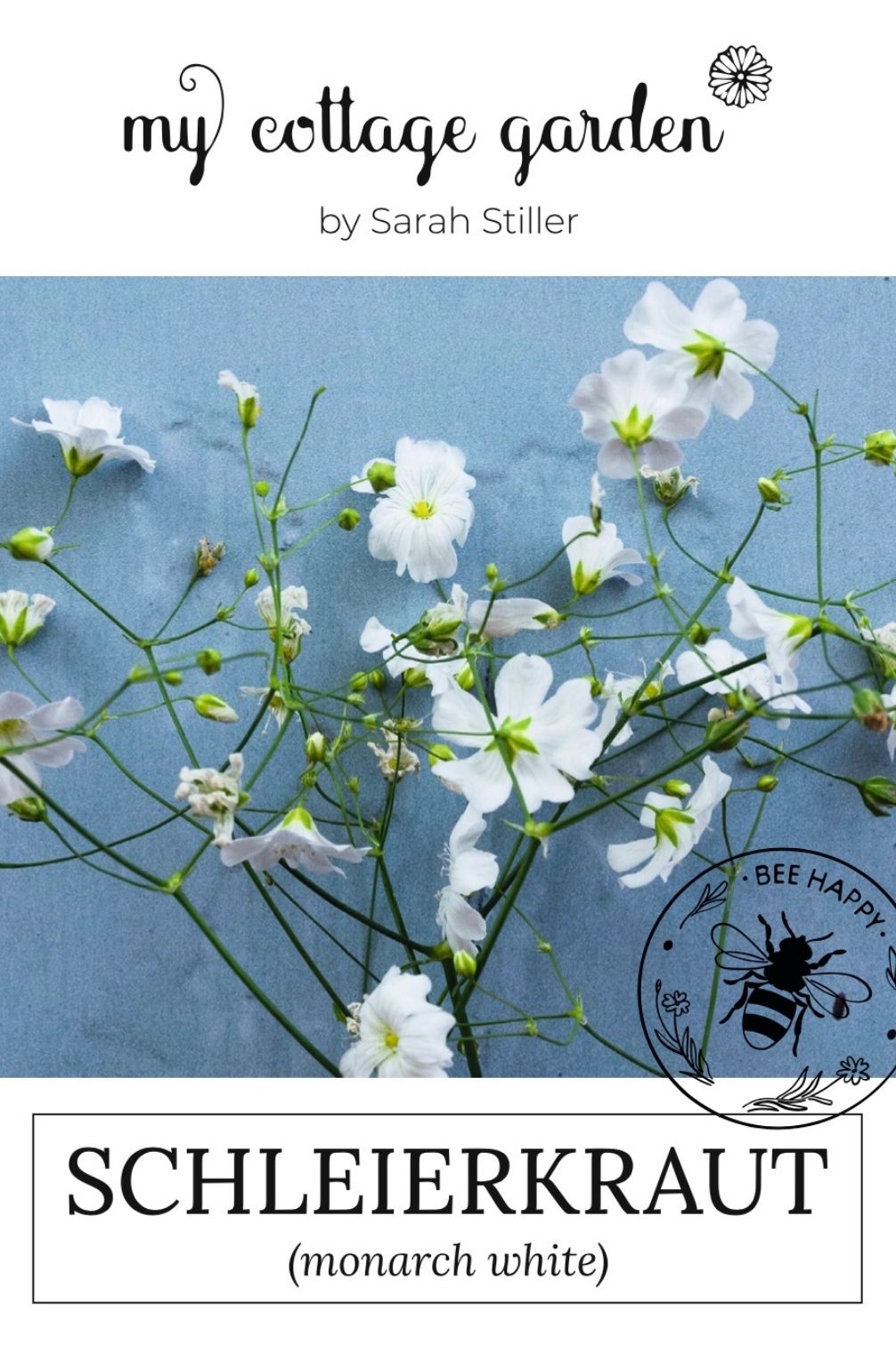 Ein Bild der Samenpackung Schleierkraut Monarch White von My Cottage Garden 