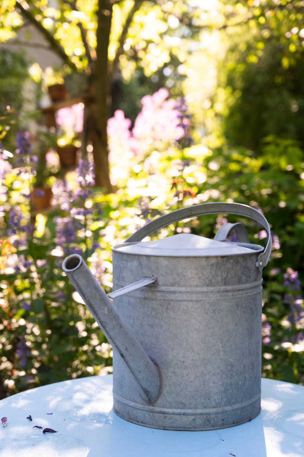 Gießkanne aus Altzink – My Cottage Garden